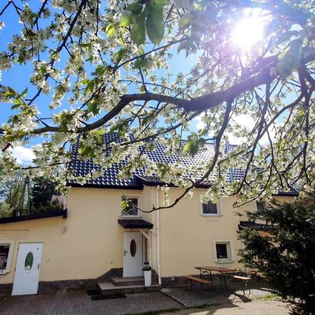 Gosciniec Jas -Sniadania I Obiadokolacje Szwedzki Stol W Cenie Bezplatny Parking 斯克拉斯卡波伦巴 外观 照片